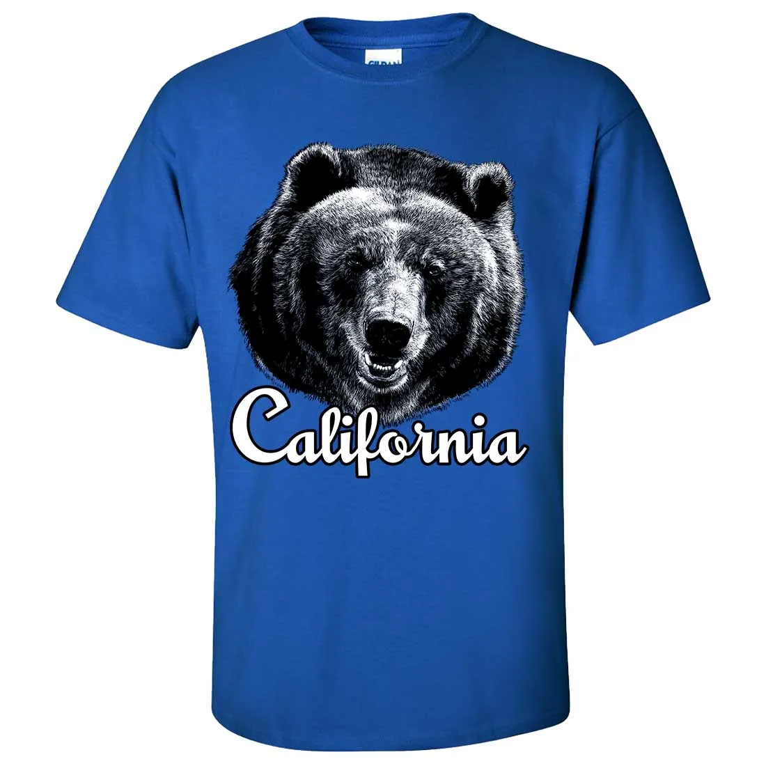 California Grizzly Bear Asst Colors T-shirt/tee